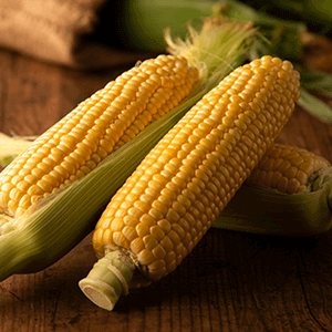 Corn-Derived Soluble Fiber